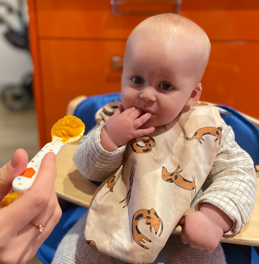 Premiers repas de bébé : réussir la diversification alimentaire en douceur