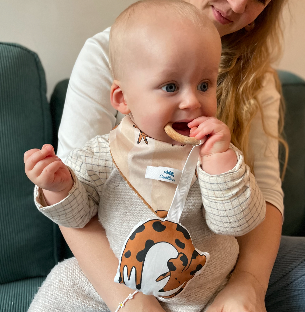 bébé mordille son anneau de dentition en bois et coton bio motif chien teckel chocolat Carotte & Cie