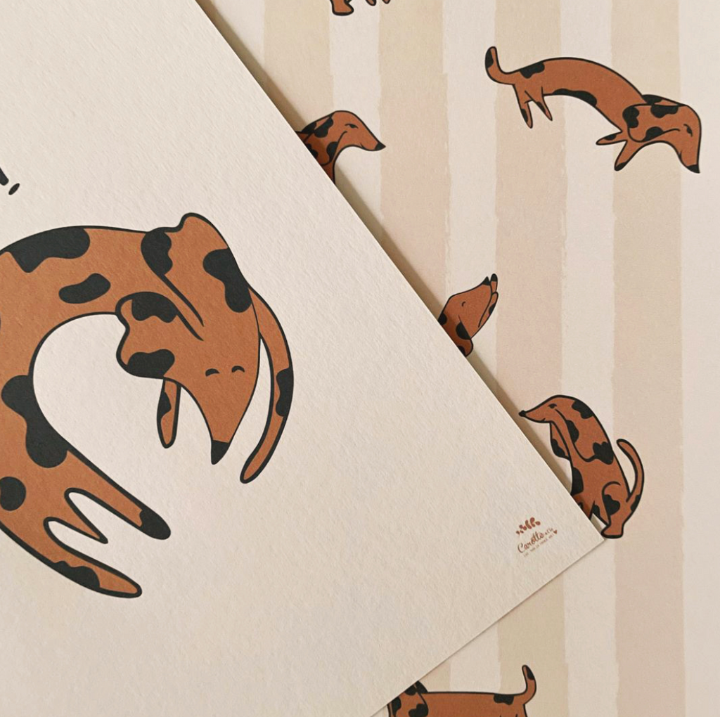 Détail du duo d'affiches illustrée format A4 et A3 de chien teckel caramel et beige dessinées avec amour par Alexandra de Carotte & Cie